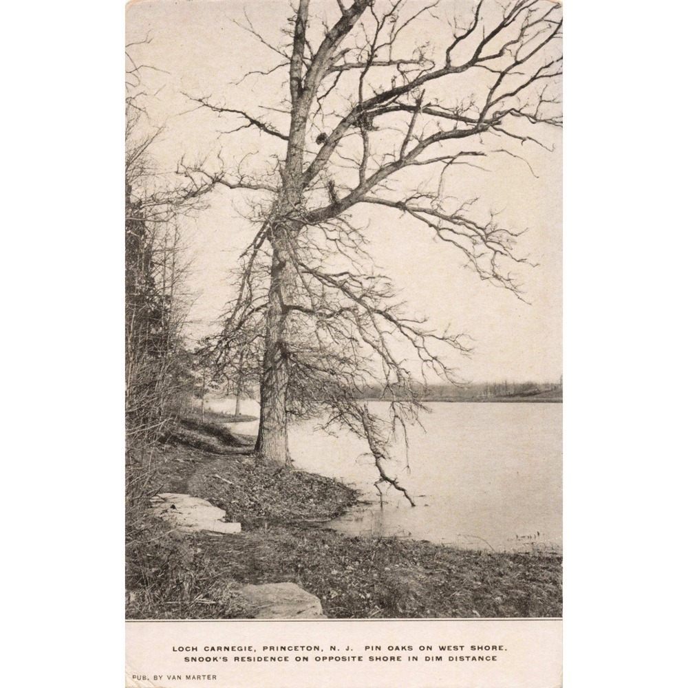 Vintage Loch Carnegie Princeton NJ Pin Oaks West Shore Postcard Van Marter VG